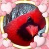 debbiethomas776